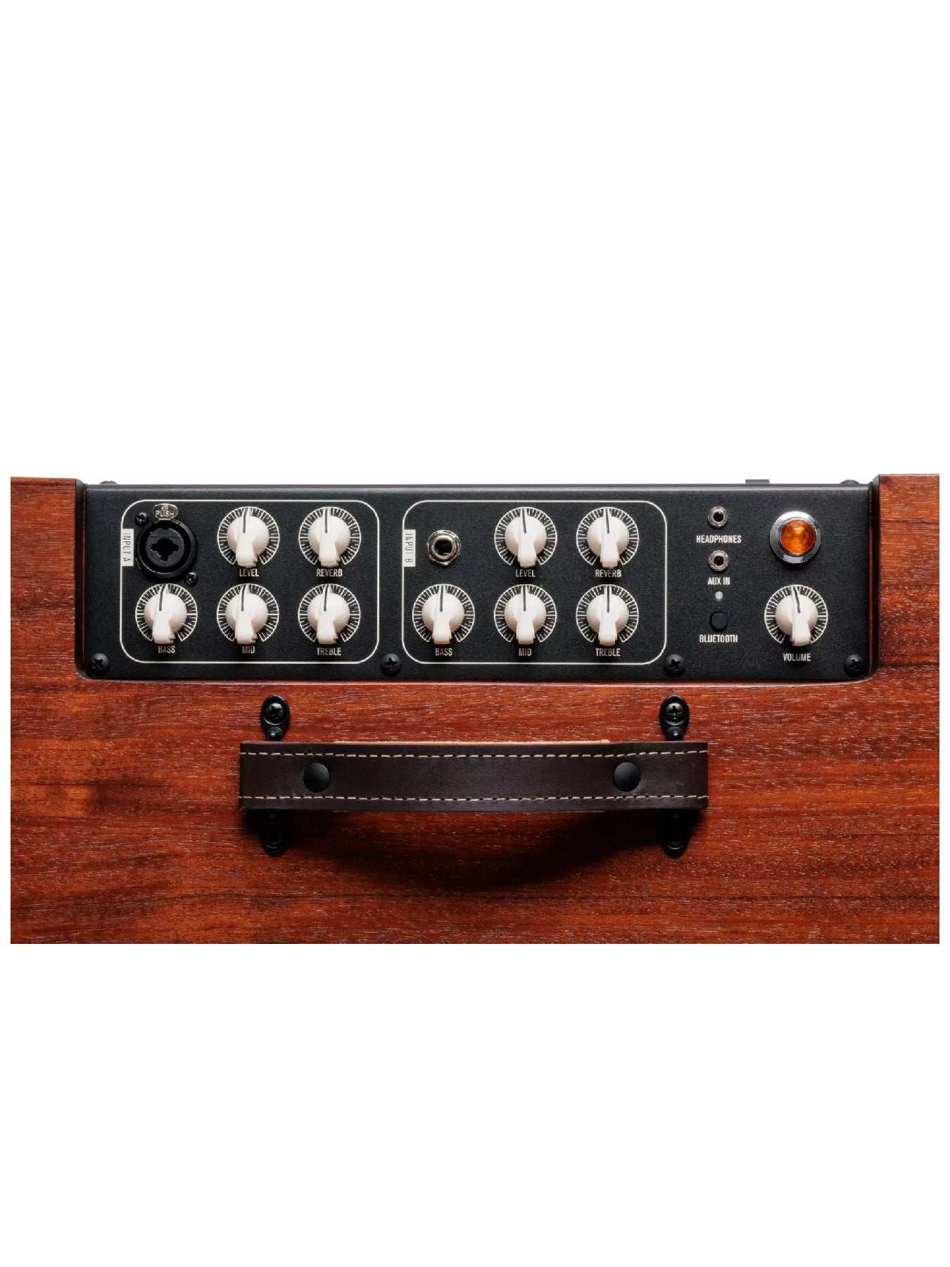 Taylor Circa 74 AV150-10 Acoustic Amplifier and Vocal System, Mahogany with stand