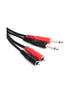 Hosa Dual 1/4 to Dual RCA