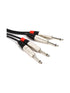 Hosa Dual REAN 1/4 to Same, 20 Foot